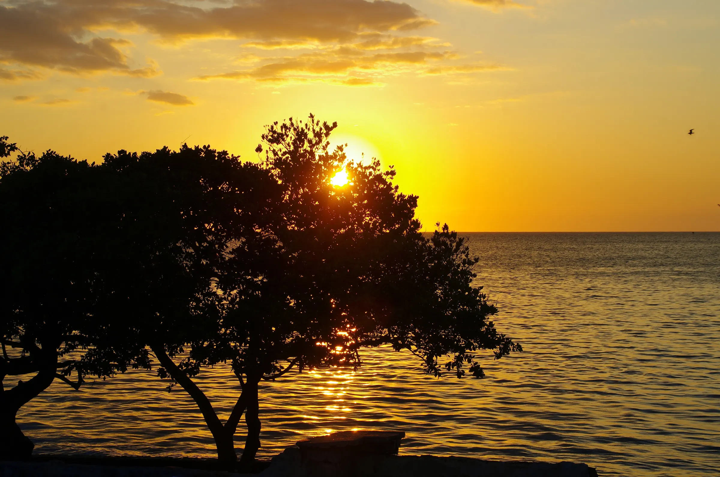 Campeche
